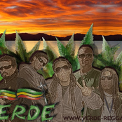 Verde Reggae