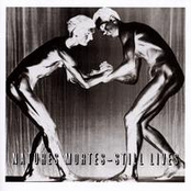 Natures Mortes – Still Lives