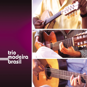 Guerreiro by Trio Madeira Brasil