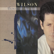 Brian Wilson: Brian Wilson