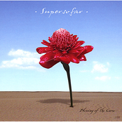 Blessing Of The Curse