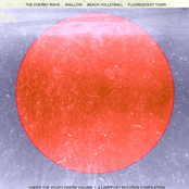 Under Dull Grey Skies