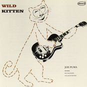 Wild Kitten by Joe Puma