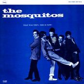 Put Your Foot Down by The Mosquitos