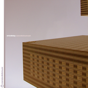 Das Kind Liebte Sehr Wald