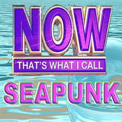 NOW THAT'S WHAT I CALL SEAPUNK