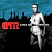 Globalni Orgie - Striktni protokol