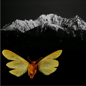 Little Famine Carpet