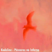 Pássaros no Inferno