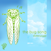 the bug song