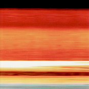 Beautiful Speck Triumph