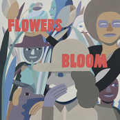 Flowers / Bloom