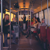 It Feels Like I Always Knew You