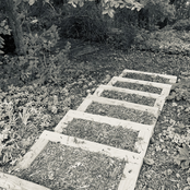 Longing for North (Demo)