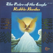 Voice Of The Eagle by Robbie Basho
