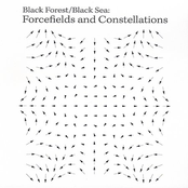 Forcefields And Constellations