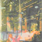 This Year In Coconuts