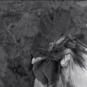 Luun Ja Auran Synteesi