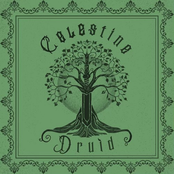 Celestine Druid