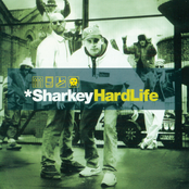 Hard Life by Sharkey