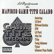 Mafioso Game Tite Calabo
