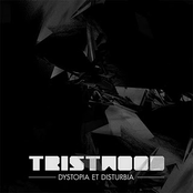 Dystopia Et Disturbia by Tristwood