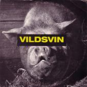 Vildsvin