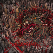 Haemostasis (A Tribute To Аспид)