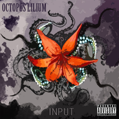 Input (Ep)