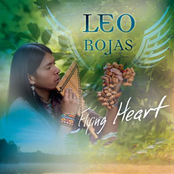 Make You Feel My Love by Leo Rojas