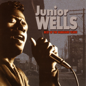 Messin' With The Kid by Junior Wells