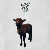 Straight In A Gay Gay World [remastered]