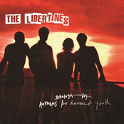 Lust Of The Libertines by The Libertines