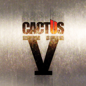 Part Of The Game by Cactus