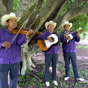 los camperos de valles