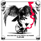 Sullivan King: Flatline