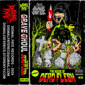 The House Of Dead Flesh