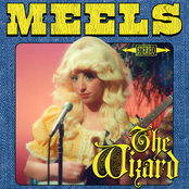 Meels: The Wizard