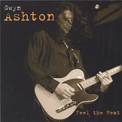 Ain't Got Time For That Stuff by Gwyn Ashton