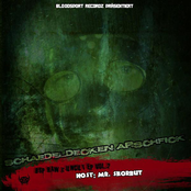 Schädeldecken Arschfick (EP)