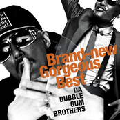 Brand-New Gorgeous Best