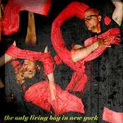 The Only Living Boy in New York