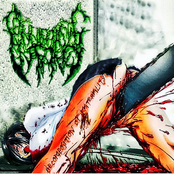 Decomposition Of Materiality