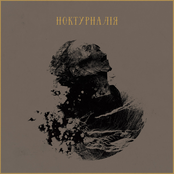 Ноктурналія
