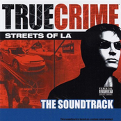 True Crime - Streets of L.A.