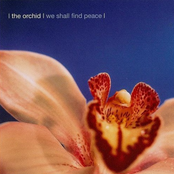 We Shall Find Peace by The Orchid
