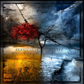 Is Now Served In Purple Plastic Wear