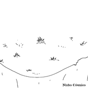 Ninho Cósmico