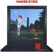 Naked Eyes: Burning Bridges