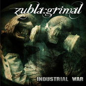 Industrial War